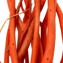 Mitsumata oksat oranssi 34-60cm 12kpl
