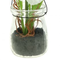 kohteita Unikko lasissa ripustettavaksi valkoinen H22cm