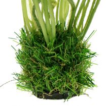 kohteita Unikko valkoinen ruohossa 23cm