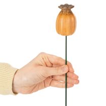 kohteita Puutarhavaarna unikonsiemenpalko - koristeellinen kohokohta puutarhan koristeluun ja tee-se-itse-projekteihin - 41 cm, 4 kpl -