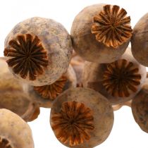 Unikko Kapseli Deco Unikko Papaver Oranssi kuivatut kukat 70g