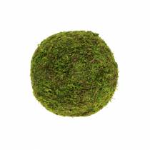 kohteita Sammaleen pallo Ø9cm 6kpl