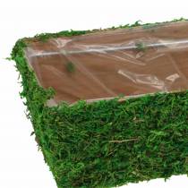 Istutin Moss Green 20 × 10cm H9cm