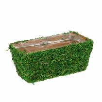 Istutin Moss Green 20 × 10cm H9cm