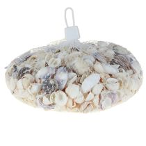 kohteita Kuorekoriste minisimpukat etanankuoret 1-3cm 340g