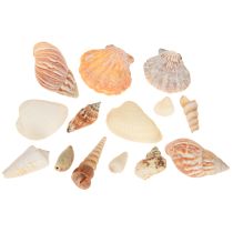 kohteita Kuoren koristelu merietana luonnollinen 350g × 3kpl