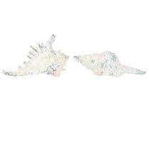 kohteita Shell Decoration Merietana Keinotekoinen Sini-Valkoinen 11,5/13cm 2 kpl