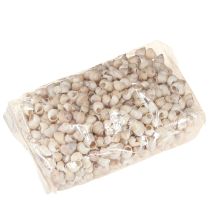 kohteita Umachi simpukka 500g