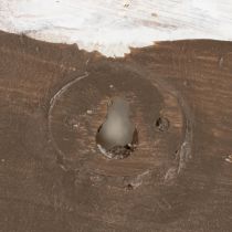 kohteita Koristeellinen etananmuotoinen seinärasia merelliseen ja luonnonteemaiseen seinäkoristeeseen, harmaa, 21 cm