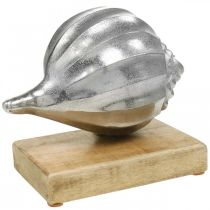 Kuori metallia, merellinen koristelu hopealle, luonnolliset värit K15cm L18,5cm