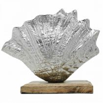 kohteita Asetettava kuori, merellinen metallikoristelu puisella pohjalla hopea, luonnollinen 16 × 19 cm