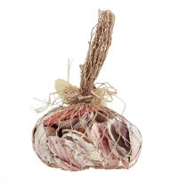 kohteita Kuoren koristelu aidot kuoret eri tyypit 300g