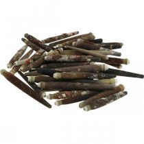 kohteita Koristekuoret Siilipiikit, merisiilien piikit, merikoristeet L3-8cm 450g