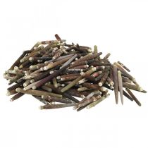 kohteita Koristekuoret Siilipiikit, merisiilien piikit, merikoristeet L3-8cm 450g