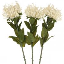 Nuppityyny keinotekoisia kukkia eksoottisia Protea Leucospermum kerma 73cm 3kpl 3kpl