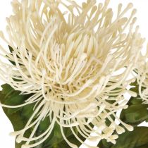 kohteita Neulatyyny tekokukat eksoottiset Protea Leucospermum kerma 73cm 3kpl
