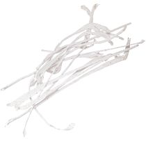 kohteita Natraj sarvipuuseos valkaistu 10 kpl