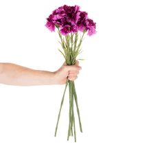 kohteita Keinotekoinen neilikka, kaksivärinen, pitkä varsi 56 cm, 8 kpl:n kimppu