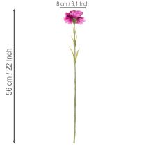 kohteita Keinotekoinen neilikka, kaksivärinen, pitkä varsi 56 cm, 8 kpl:n kimppu