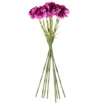 kohteita Keinotekoinen neilikka, kaksivärinen, pitkä varsi 56 cm, 8 kpl:n kimppu