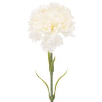 kohteita Keinotekoinen neilikka varren kanssa kimppuihin ja seppeleisiin, 56 cm, 8 kpl