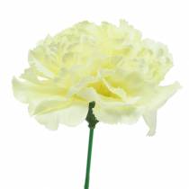 kohteita Neilikkakukka valkoinen Ø9cm 12kpl