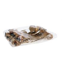 kohteita Nerifolia Bud 25 kpl