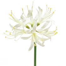 kohteita Nerine Guernsey Lily tekokukka Valkoinen Keltainen Ø15cm L65cm