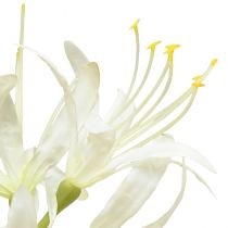 kohteita Nerine Guernsey Lily tekokukka Valkoinen Keltainen Ø15cm L65cm