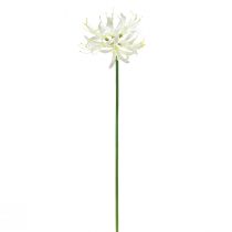 kohteita Nerine Guernsey Lily tekokukka Valkoinen Keltainen Ø15cm L65cm