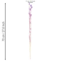 kohteita Kuivattujen nigella-kukkien kimppu, koristekäyttöön olohuoneessa, luo ainutlaatuisen tunnelman, 70 cm, 50 g