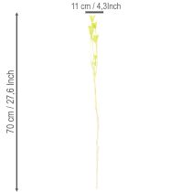 kohteita Kuivattuja Nigellan kukkia, ihastuttava luonnollinen huonekoriste kotiin, 70 cm, 50 g