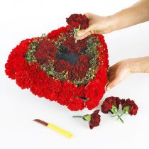 kohteita OASIS® Biolit® sydän iso 34cm 2 kpl