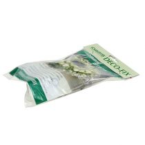 kohteita OASIS® Deco-Fix 10 kpl