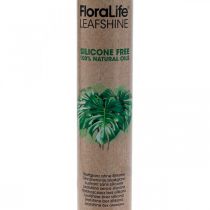 Oasis Floralife Leaf Shine Leaf Shine Spray 750ml