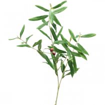 Keinotekoinen oliivinoksa koristeoksa oliiveilla 100cm