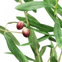 Keinotekoinen oliivinoksa koristeoksa oliiveilla 100cm