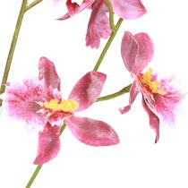 kohteita Oncidium Keinotekoiset Orkideat Koriste Vaaleanpunainen Violetti 93cm 2kpl
