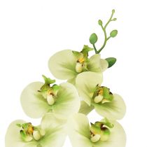 kohteita Orkidea Keinotekoinen Keltainen Vihreä Phalaenopsis 85cm