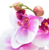 kohteita Orchid Artificial Phalaenopsis 4 Flowers Valkoinen Pinkki 72cm