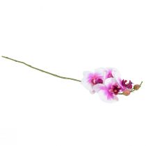 kohteita Orchid Artificial Phalaenopsis 4 Flowers Valkoinen Pinkki 72cm