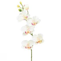 kohteita Orchid Phalaenopsis keinotekoinen 6 kukkaa kermanpunainen 70cm