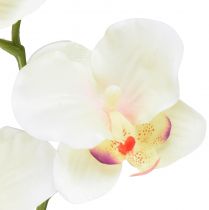 kohteita Orchid Phalaenopsis keinotekoinen 6 kukkaa kermanpunainen 70cm