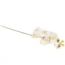 kohteita Orchid Phalaenopsis keinotekoinen 6 kukkaa kermanpunainen 70cm