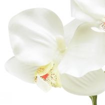 kohteita Orchid Phalaenopsis keinotekoinen 6 kukkaa valkoinen kerma 70cm
