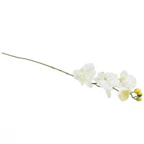 kohteita Orchid Phalaenopsis keinotekoinen 6 kukkaa valkoinen kerma 70cm
