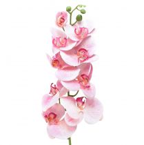 Orchid Phalaenopsis keinotekoiset 9 kukkaa vaaleanpunainen valkoinen 96cm