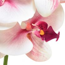 kohteita Orchid Phalaenopsis keinotekoinen 9 kukkaa valkoinen fuksia 96cm