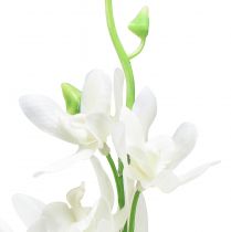 kohteita Orkideat keinotekoiset Oncidium tekokukat valkoiset 90cm