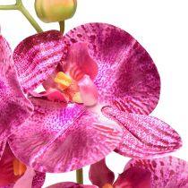 kohteita Orkidea liekki keinotekoinen Phalaenopsis violetti 72cm